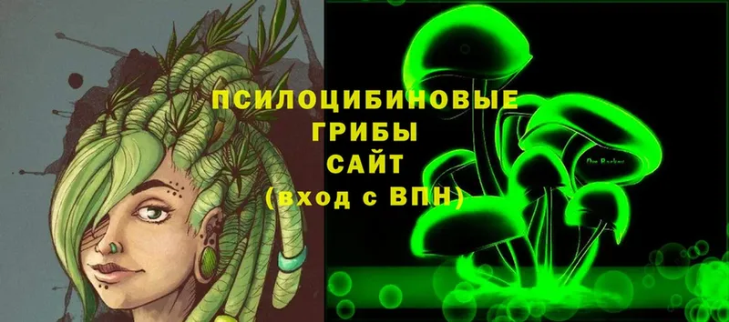 купить   Полярный  Псилоцибиновые грибы мухоморы 